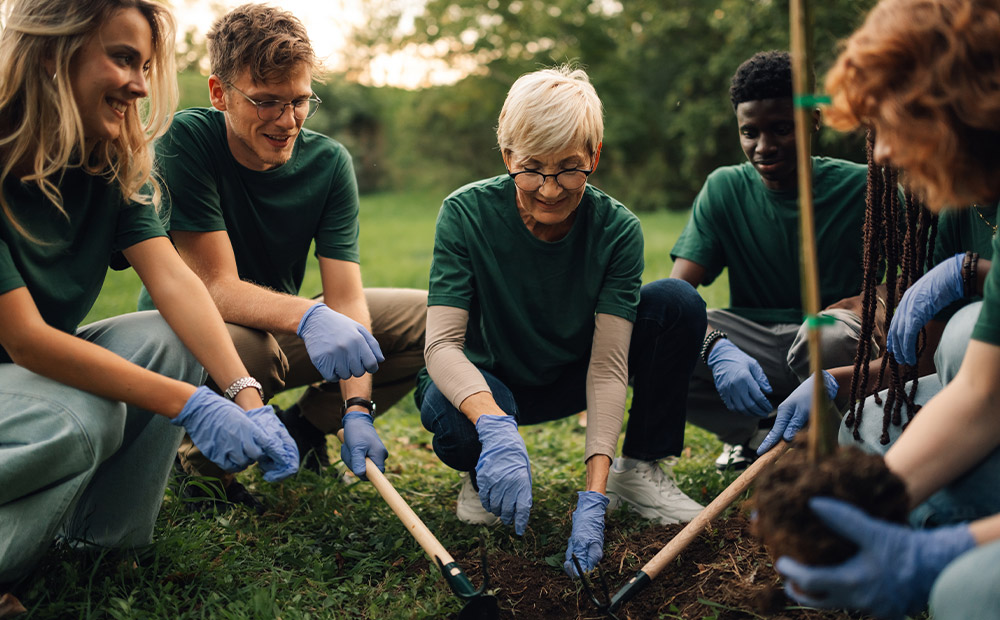 Volunteers planting a young tree together