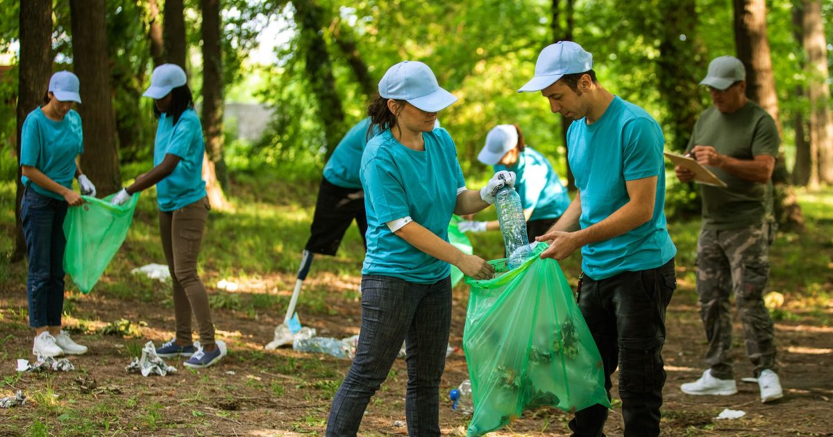 Volunteers collecting litter in a wooded area
