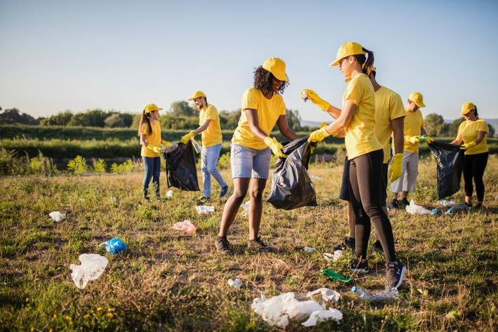 A group of volunteers cleaning an outdoor green space