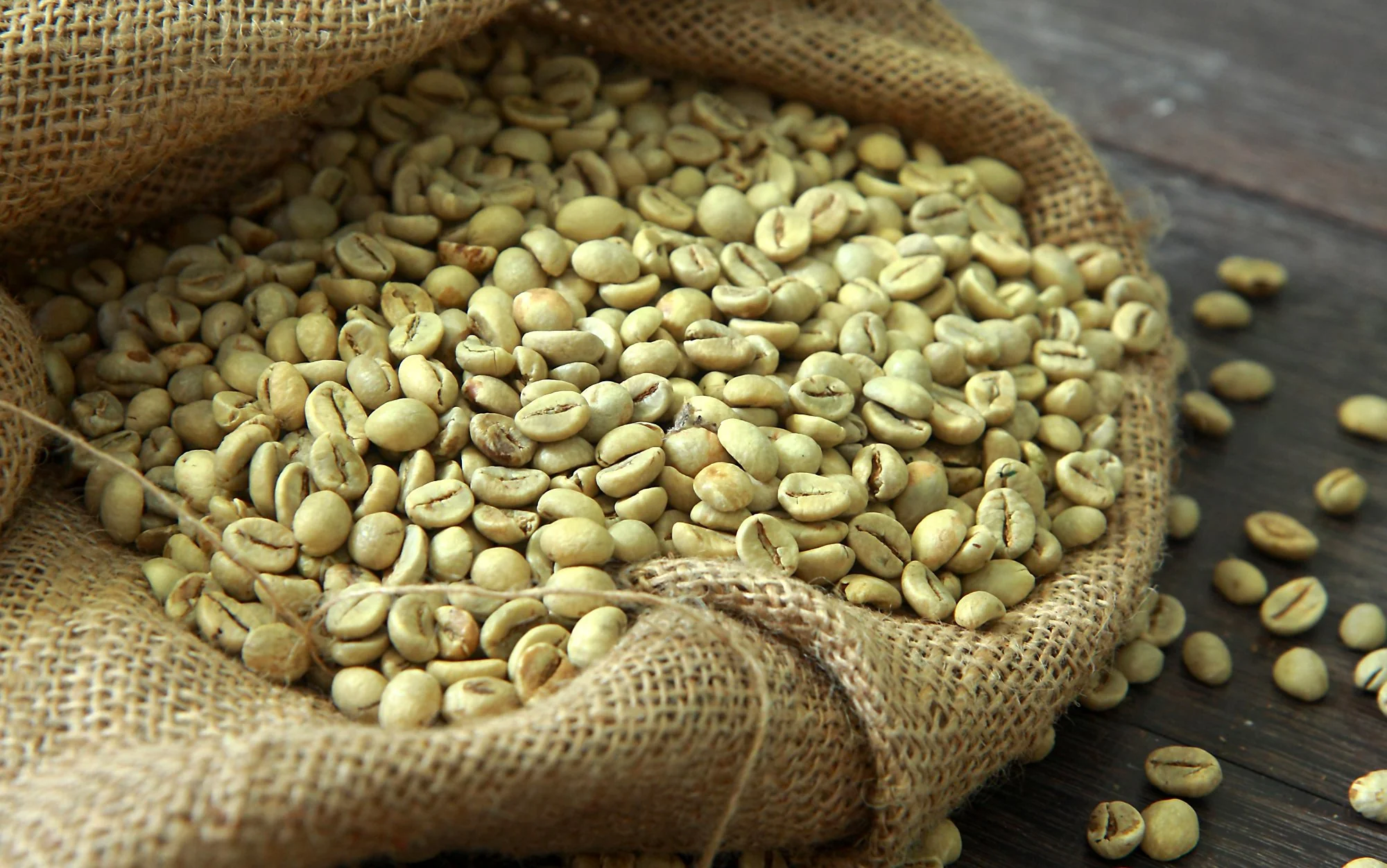 Green coffee beans for export